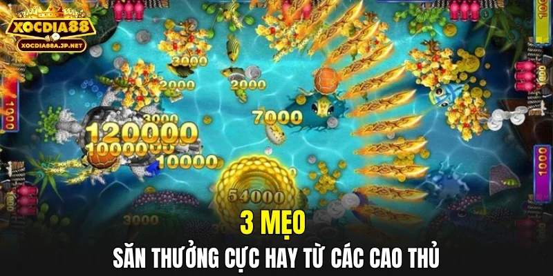 3 mẹo săn thưởng cực hay từ các cao thủ