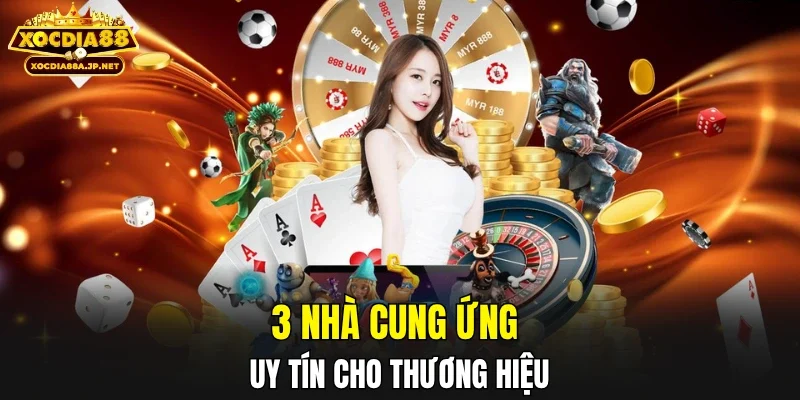 3 nhà cung ứng uy tín cho thương hiệu
