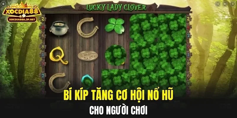 Bí kíp tăng cơ hội nổ hũ cho người chơi