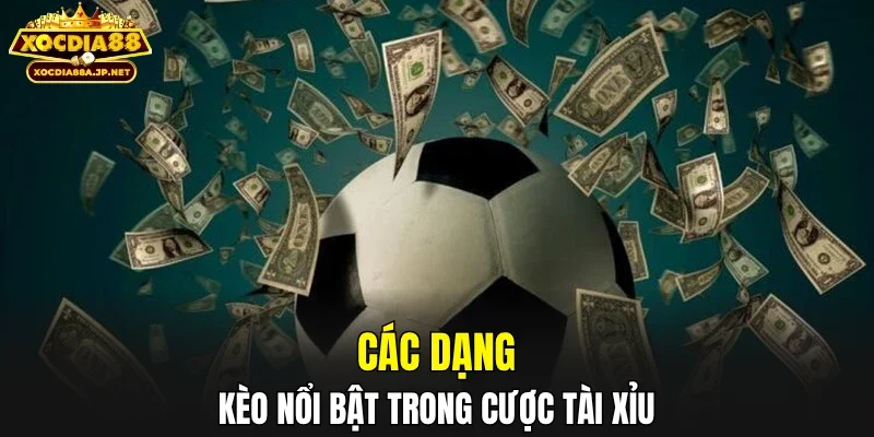 Các dạng kèo nổi bật trong cược tài xỉu