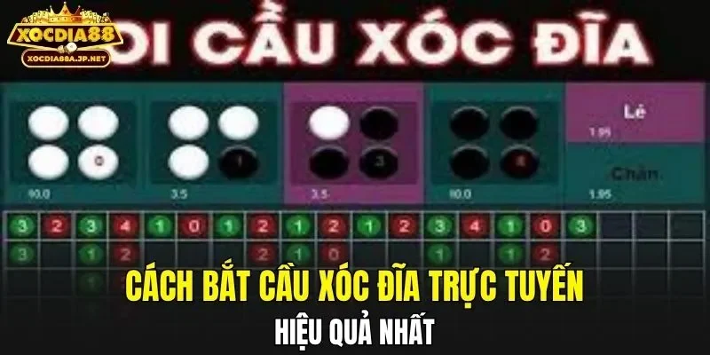 Cách bắt cầu xóc đĩa trực tuyến hiệu quả nhất