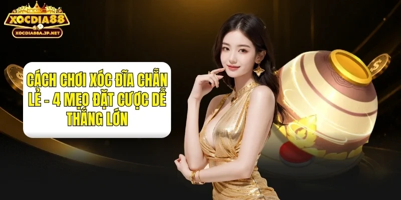 Cách Chơi Xóc Đĩa Chẵn Lẻ