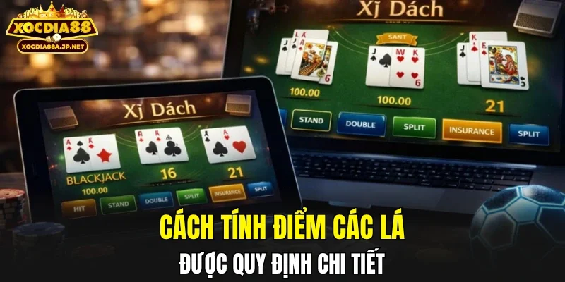 Cách tính điểm các lá được quy định chi tiết