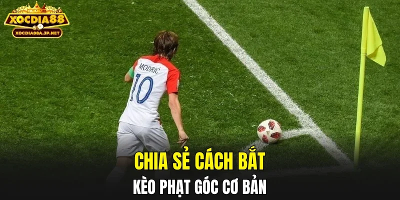 Chia sẻ cách bắt kèo phạt góc cơ bản