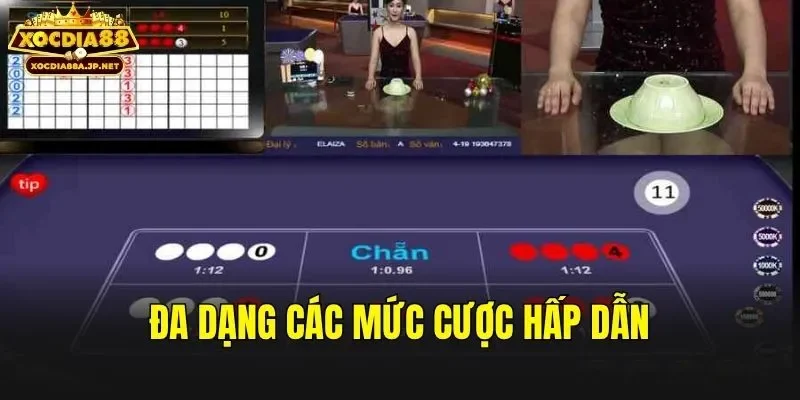 Đa dạng các mức cược hấp dẫn