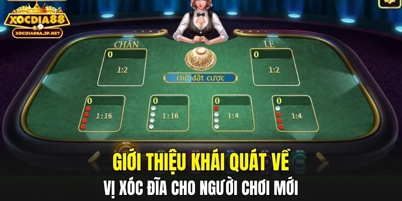 Giới thiệu khái quát về vị xóc đĩa cho người chơi mới