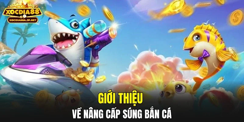 Giới thiệu về nâng cấp súng bắn cá