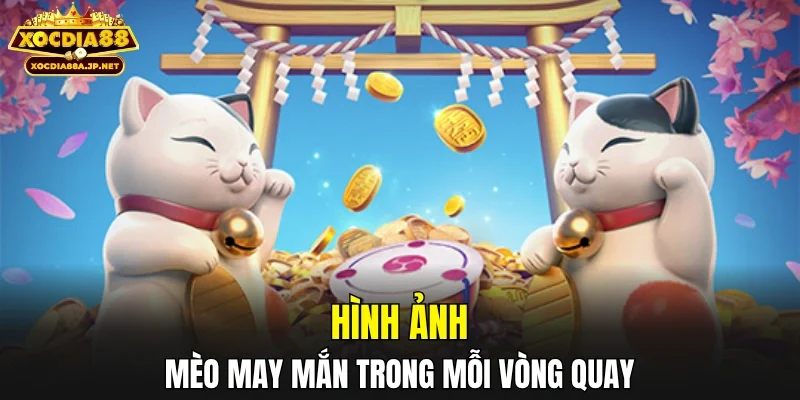 Hình ảnh mèo may mắn trong mỗi vòng quay