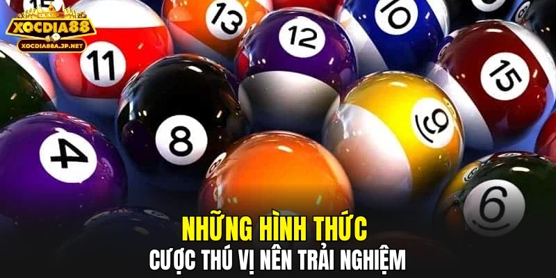Những hình thức cược thú vị nên trải nghiệm