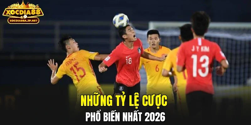 Những tỷ lệ cược phổ biến nhất 2026