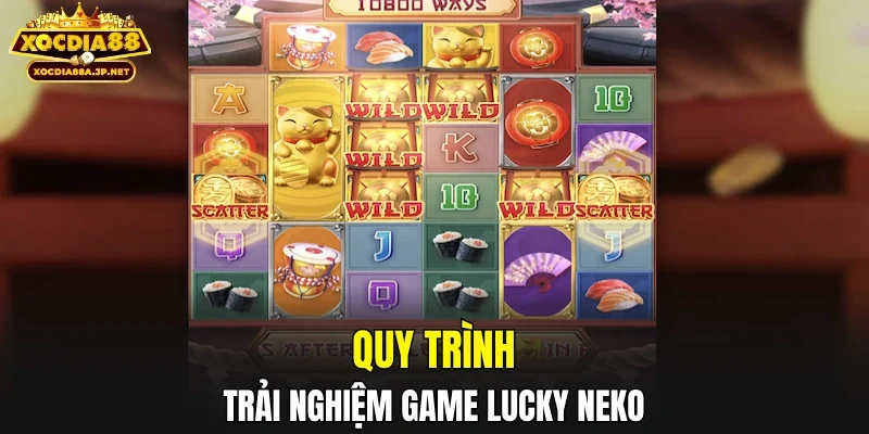 Quy trình trải nghiệm game Lucky Neko
