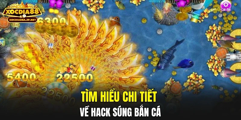 Tìm hiểu chi tiết về hack súng bắn cá