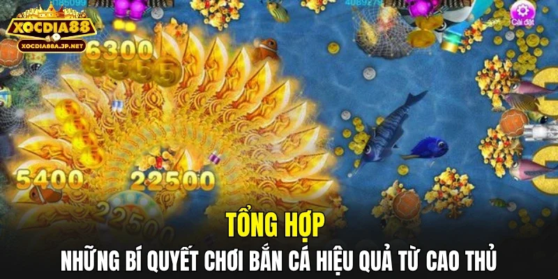 Tổng hợp những bí quyết chơi bắn cá hiệu quả từ cao thủ