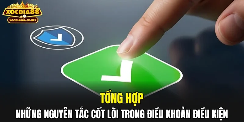 Tổng hợp những nguyên tắc cốt lõi trong điều khoản điều kiện