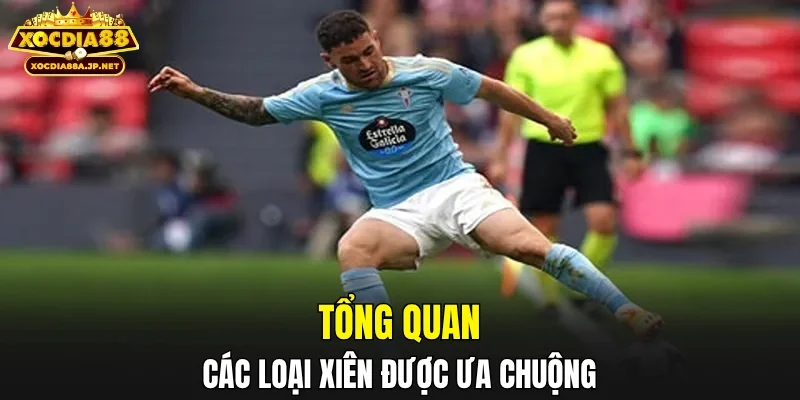 Tổng quan các loại xiên được ưa chuộng