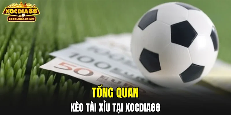 Tổng quan kèo tài xỉu tại XOCDIA88